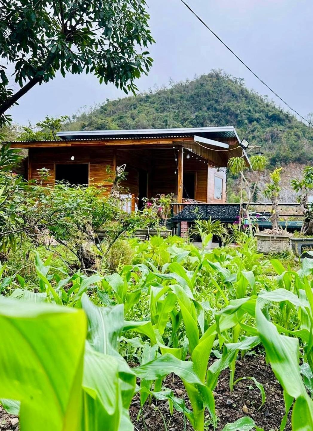 Cat Ba Love House Xuan Dam Extérieur photo